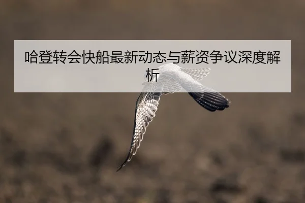 哈登转会快船最新动态与薪资争议深度解析